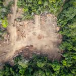 Agriculture & Forestier